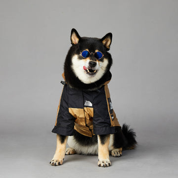 Waterproof Dog Raincoat with Hood – Reflective Adjustable Jacket for All Sizes – in use