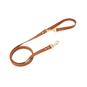 Adjustable Pet Harness & Leash Set – Vest for Dogs & Cats – color options