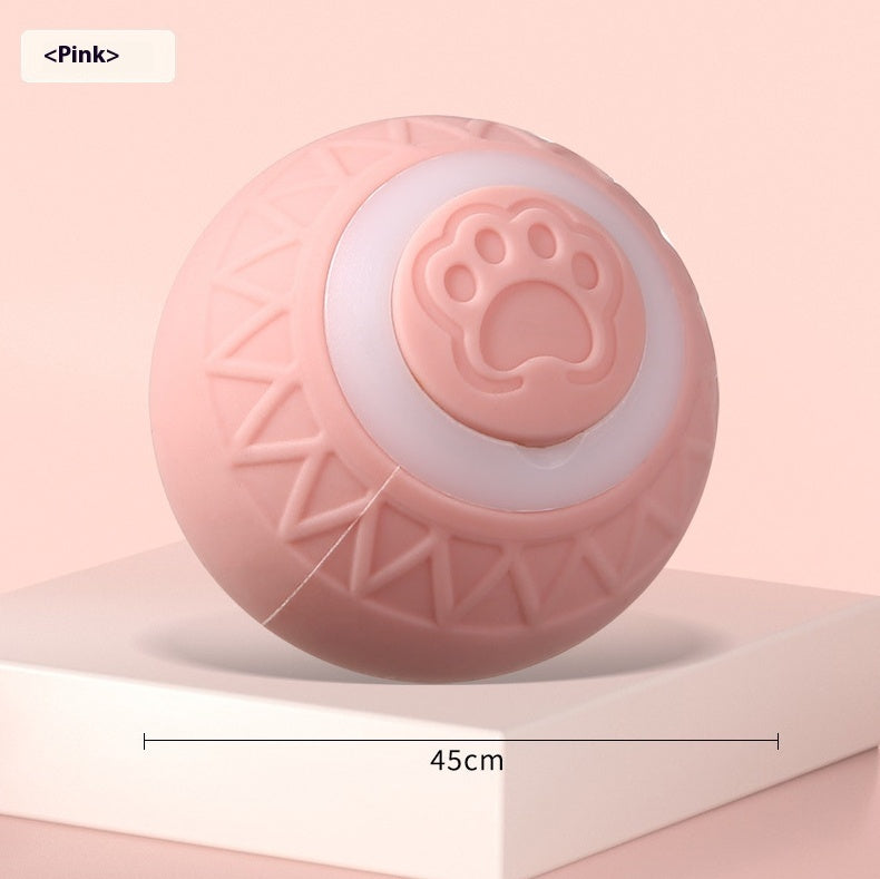 Kitten playing with automatic moving ball toy for mental stimulation and development