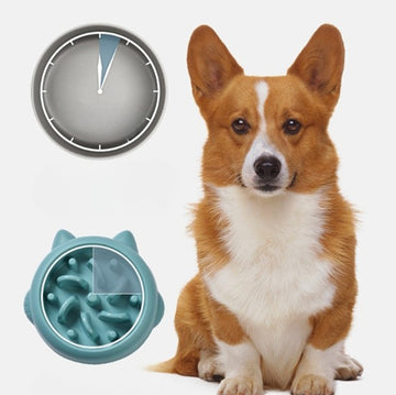 Slow Feeder Dog Bowl - Anti-Choking Stainless Steel Pet Dish – size reference