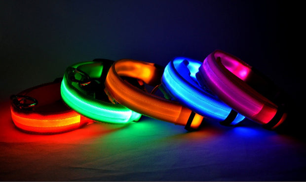 LED Dog Safety Collar – Nylon Glow-in-the-Dark Night Light – detail view