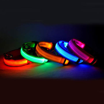 LED Dog Safety Collar – Nylon Glow-in-the-Dark Night Light