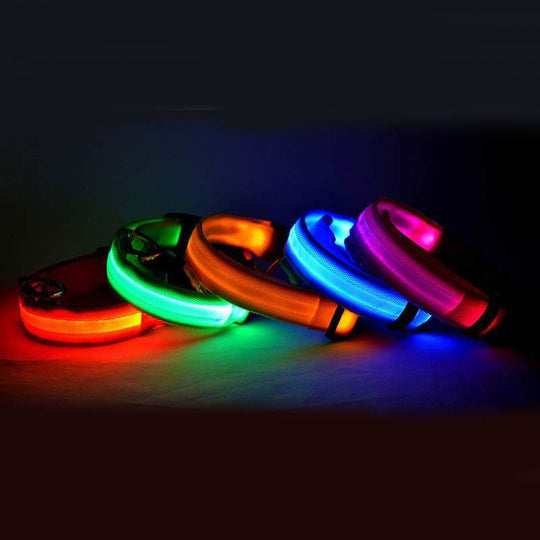 LED Dog Safety Collar – Nylon Glow-in-the-Dark Night Light
