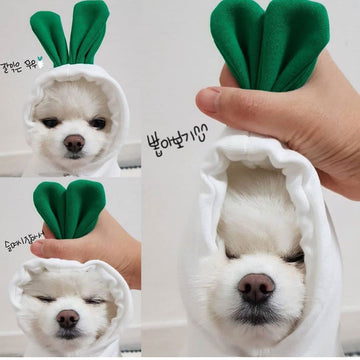 Fruit Pattern Dog Hoodie - Fleece Winter Coat for Small Breeds – color options