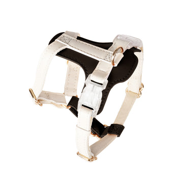 Adjustable Pet Harness & Leash Set – Vest for Dogs & Cats – lifestyle photo