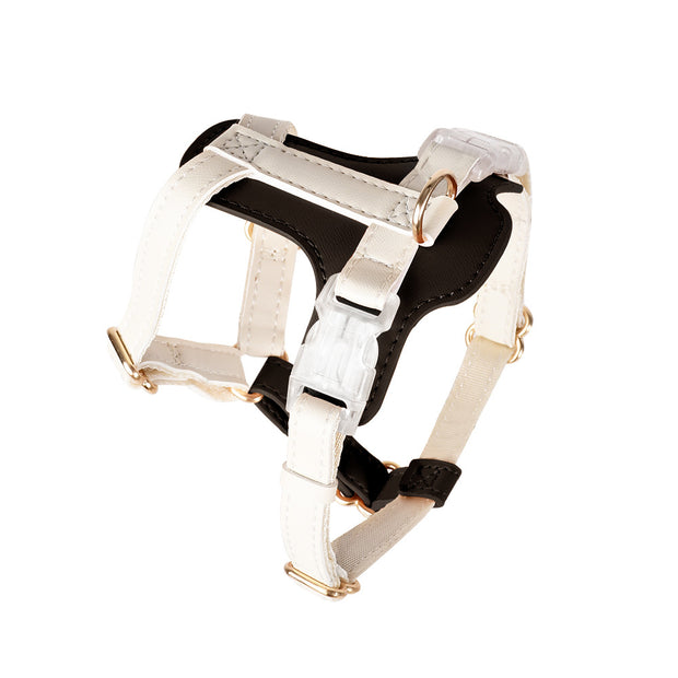 Adjustable Pet Harness & Leash Set – Vest for Dogs & Cats – lifestyle photo