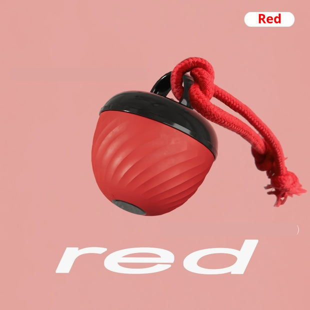 Chew-Resistant Dog Toy Ball – Teething Relief & Play – size reference