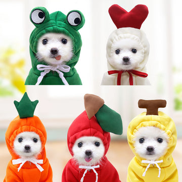 Fruit Pattern Dog Hoodie - Fleece Winter Coat for Small Breeds – in use