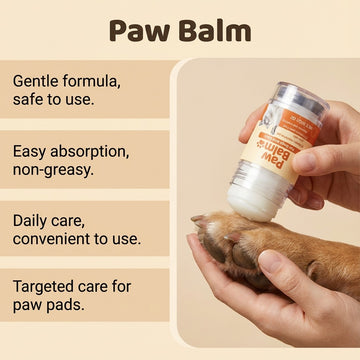 Paw Balm for Dogs & Cats – Moisturizing Pad Protector for Dry Cracked Paws – lifestyle photo