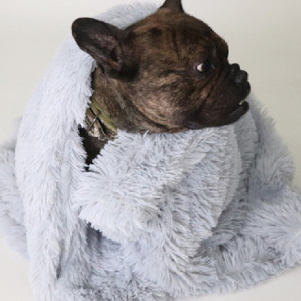 Washable Fleece Pet Blanket – Soft Plush Throw for Dogs & Cats – lifestyle photo