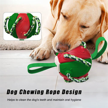 Interactive Dog Soccer Ball - Chew-Resistant Football with Grip Tabs – detail view