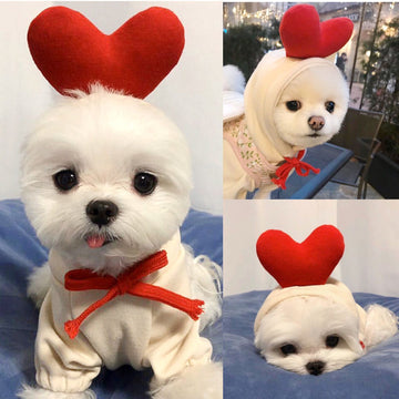 Fruit Pattern Dog Hoodie - Fleece Winter Coat for Small Breeds – close-up