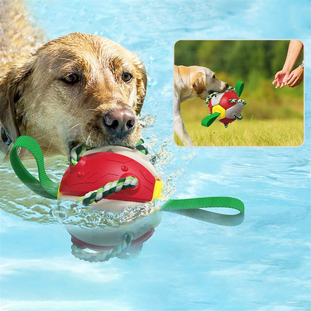 Interactive Dog Soccer Ball - Chew-Resistant Football with Grip Tabs – lifestyle photo