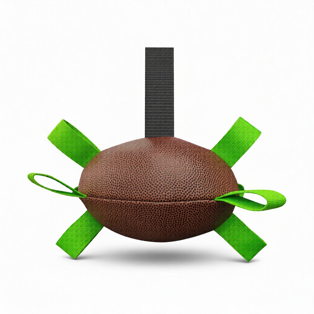 Rugby dog toy size comparison showing appropriate scale for Beagles and Border Collies