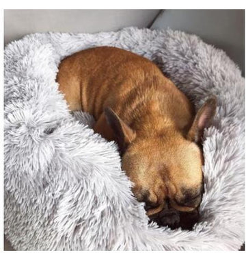 Round Plush Pet Nest Bed - Cozy Kennel for Small Dogs & Cats – lifestyle photo