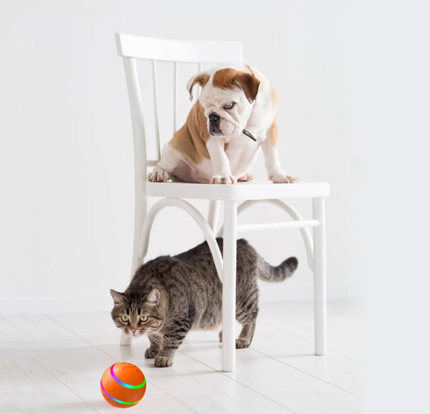 USB Cat Ball Toy - Self-Rotating Interactive Roller – in use
