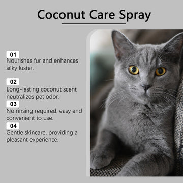 No-Rinse Dog & Cat Grooming Spray – Shine Softener Detangler – in use