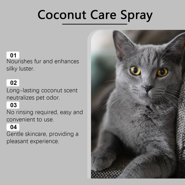 No-Rinse Dog & Cat Grooming Spray – Shine Softener Detangler – in use