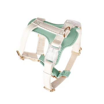 Adjustable Pet Harness & Leash Set – Vest for Dogs & Cats – pet wearing