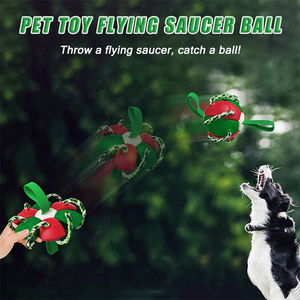 Interactive Dog Soccer Ball - Chew-Resistant Football with Grip Tabs – size reference