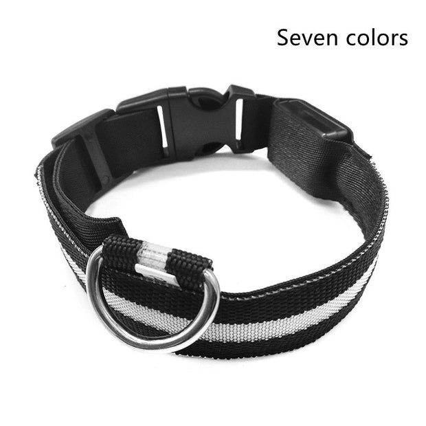 LED Dog Safety Collar – Nylon Glow-in-the-Dark Night Light – pet wearing