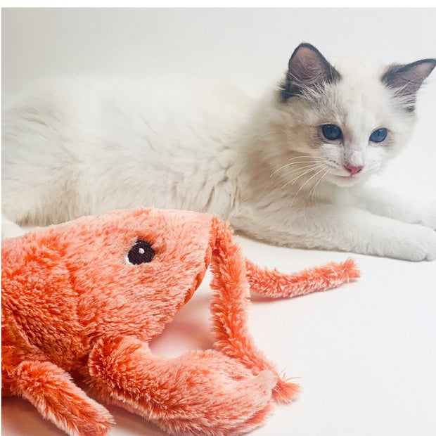 Electric Jumping Shrimp Cat Toy – USB Plush Lobster – in use