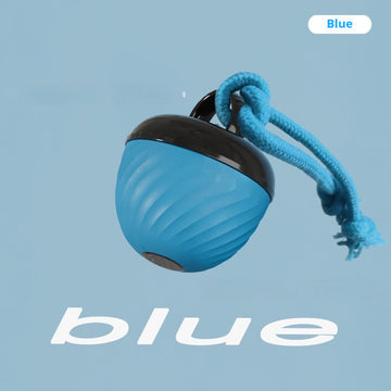 Chew-Resistant Dog Toy Ball – Teething Relief & Play – lifestyle photo