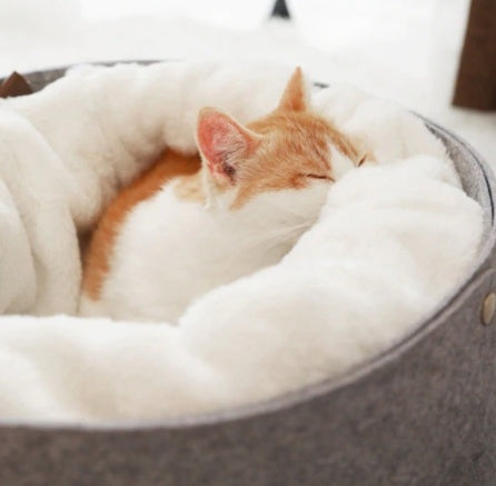 Ultra-Plush Orthopedic Cat Bed – Self-Warming Memory Foam Nest