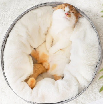 Ultra-Plush Orthopedic Cat Bed – Self-Warming Memory Foam Nest – lifestyle photo