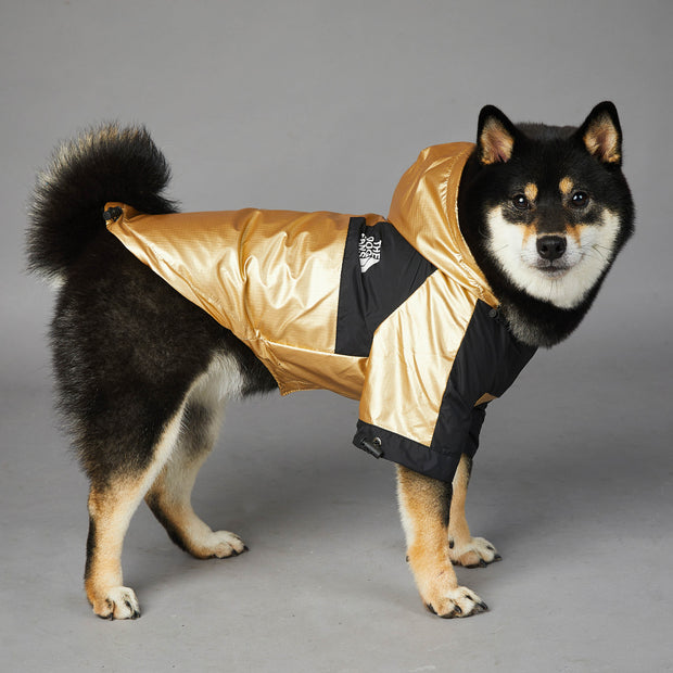 Waterproof Dog Raincoat with Hood – Reflective Adjustable Jacket for All Sizes – lifestyle photo